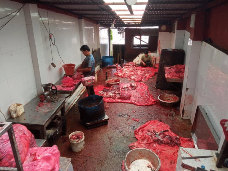 भुलाछें र देकोचामा बधस्थल र मासु पसल अनुगमन, सरसफाईमा ध्यान दिन आग्रह